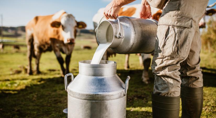 Már az élelmiszerláncokat is elérte a fertőző vírus: a tejben is kimutatták