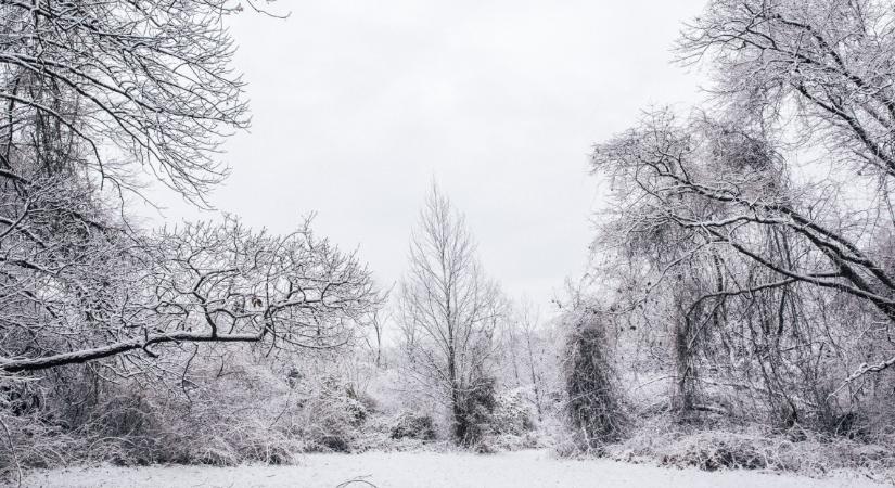 Téltábornok benézett Magyarországra: 9 cm-nyi hó esett szerdán az Írottkőnél  Fotók