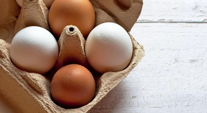 A tojás ára majdnem másfélszeresére nőtt, a napraforgómagé közel felére csökkent 2023-ban