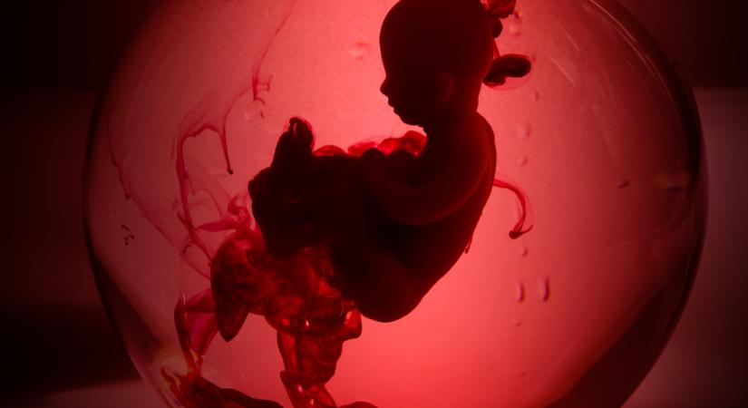 Sokkoló adat: ennyi nőnek tiltották meg az abortuszt nemi erőszak után az USA-ban