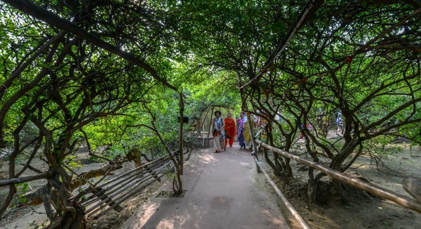 A rejtélyes Nidhivan erdő, ahol éjjelente Krisna kel táncra