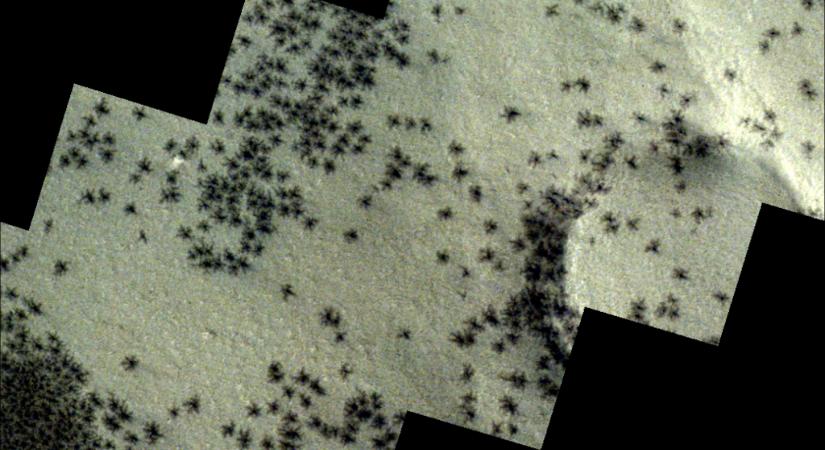 Óriási, pókszerű formákat fotóztak a Marson