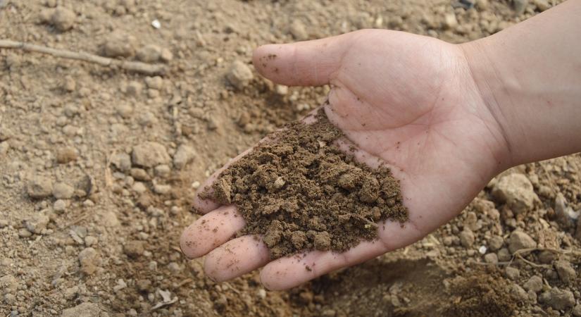 Jelentősen szennyezetté vált a tedeji talaj