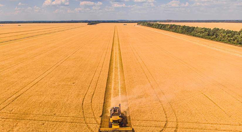 Agrárminisztérium: Emelkedő gabonaáraknál nem érdemes a készleteken ülni