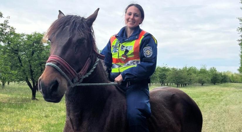 Lóháton vitte vissza a tanyáról megszökő lovat egy fiatal ceglédi rendőrnő