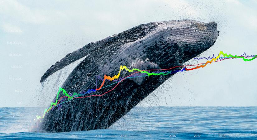 A bálnák 1,3 milliárd dollárt utaltak a Coinbase-re, ez egy “óriási vételi jelzés”?