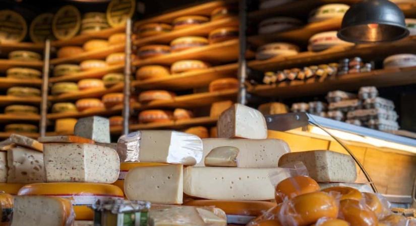 Busás haszon: lopják a sajtot Hollandiában