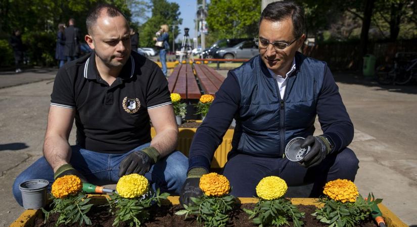 Virágültetés Debrecenben: megszépült a Margit tér – fotókkal