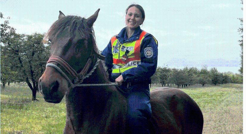 Rendőrlány fogta el és vitte vissza a szökött lovat Tápiószőlősön