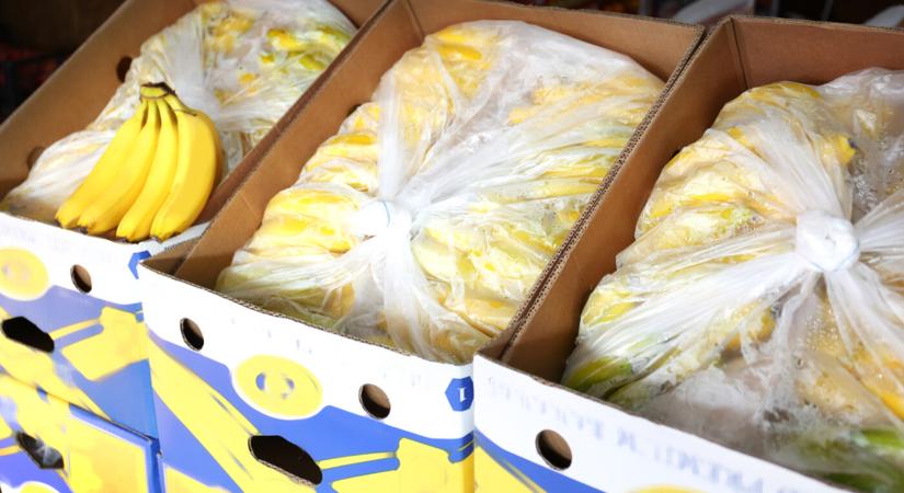 Több száz kilogramm kokaint találtak üzleteknek kiszállított banános dobozokban