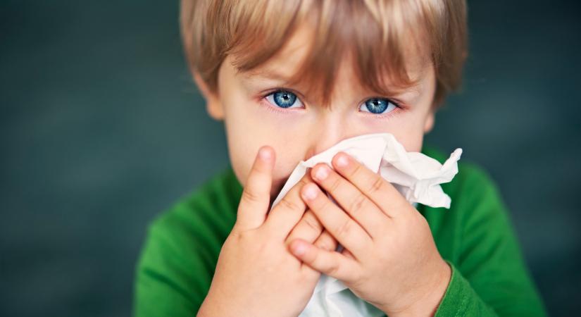 Pollenallergia gyerekkorban: asztmát is okozhat, ha nem kezelik időben