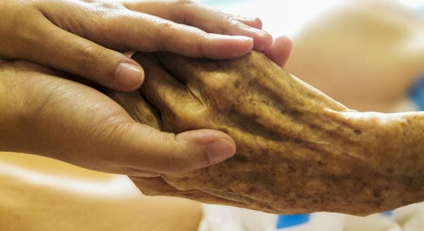 Elképesztő: virágültetés miatt bírságoltak meg egy idős asszonyt