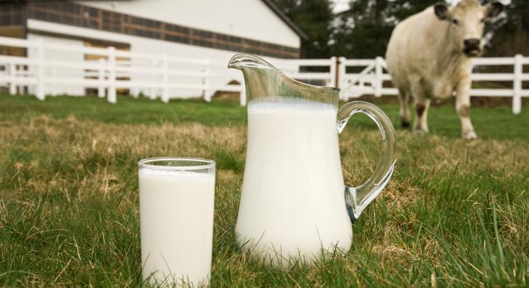 A WHO óvatosságra intett, veszélyes lehet a nyers tej