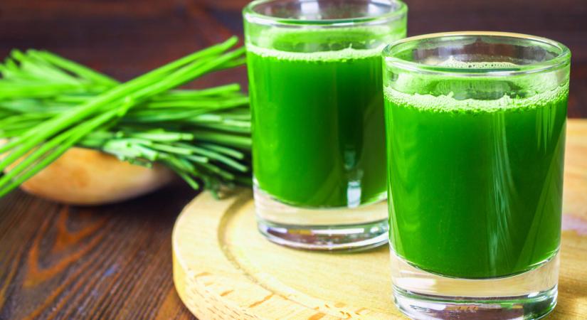 Igazi szuperélelmiszer ez a zöld ital – összeszedtük, mit kell tudni a búzafűléről