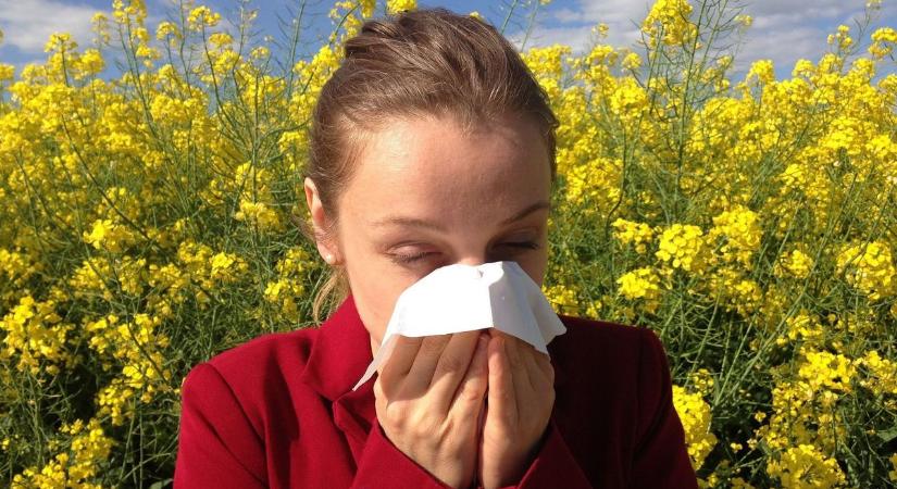 Pollenterhelés: Nógrád-szerte emelkedik
