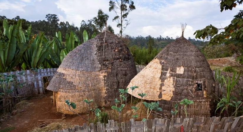 Így néz ki egy banánlevélből készült ház - Képes összeállításon a világ különleges otthonai