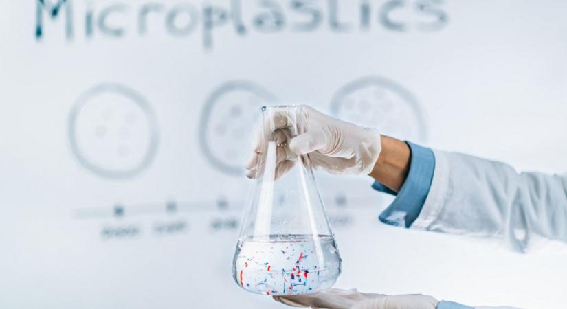Kétségbeejtő összefüggést találtak a kutatók: mikroműanyag okozhatja a bélgyulladást