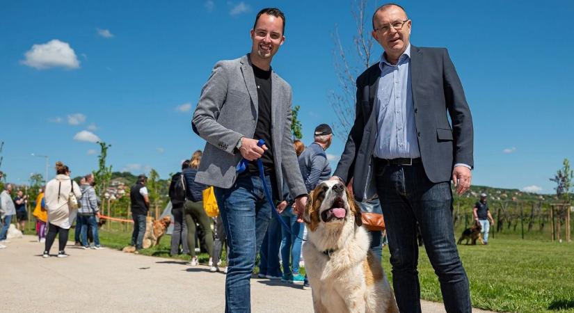 Átadták Balatonfüred első és az ország egyik legnagyobb kutyabarát közparkját