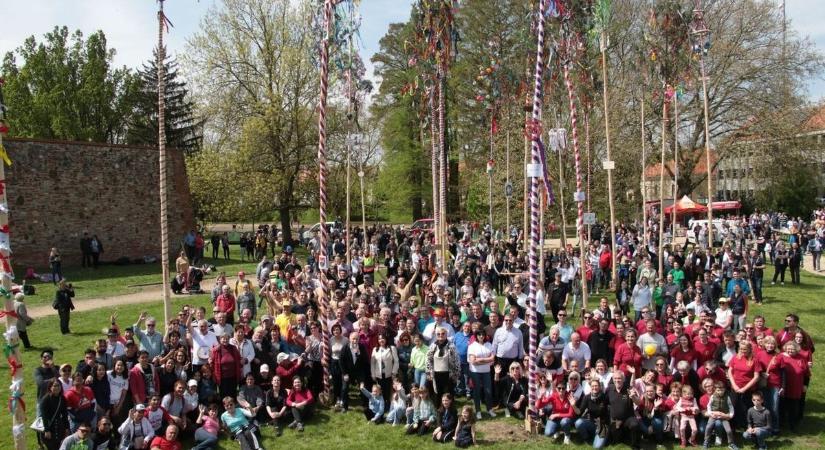 Már megérkeztek a májusfák a sárvári várparkba - videó
