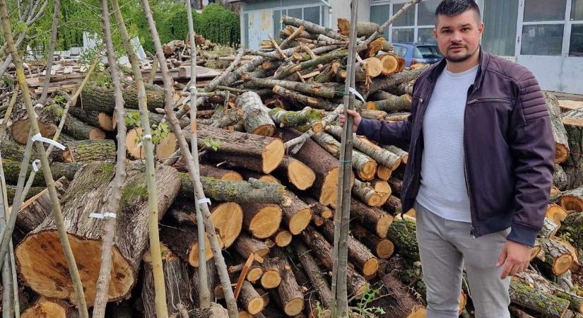 Zöldül Csepreg - Az országfásítás keretében 30 fát telepítenek városszere