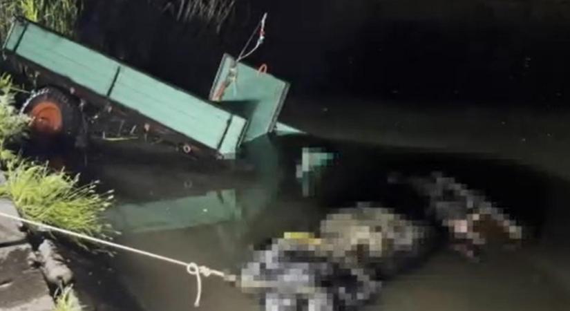 Döbbenetes lovaskocsi-baleset Alsónémedinél: kiderült, miért hajtott a Duna-Tisza-csatornába a férfi