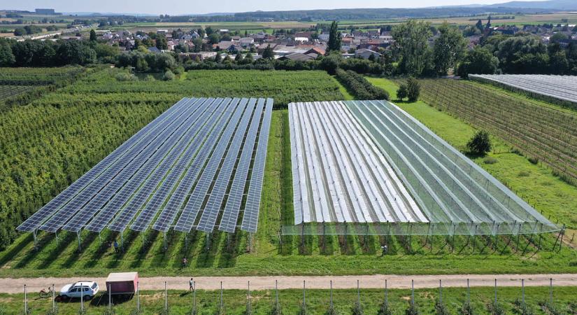 A német gazdák többsége szívesen telepítene napelemeket a földjére