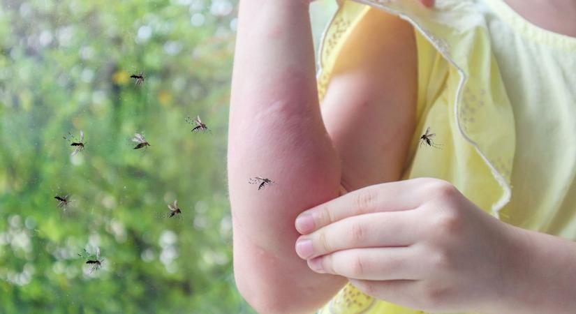 Természetes szúnyog- és rovarűzőt ajánl a poroszlói tanya lakója