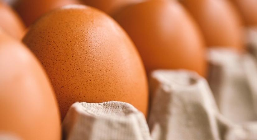 Nem lesz több barna tojás a szupermarketekben