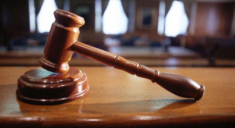 Állatkínzás vétsége miatt ítélt el a Szekszárdi Járásbíróság egy tolnai férfit