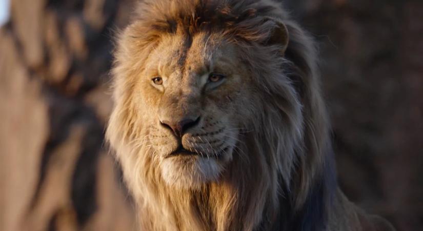 A Disney most Az oroszlánkirályban kinyírt Mufasának csinált természetfilmnek álcázott akciómesét