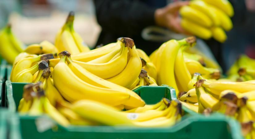 Sokkot kaptak a Lidl dolgozói, amikor meglátták, mi van a banánoskartonban
