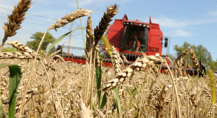Agrárminiszter: a brüsszeli elit feláldozta az európai gazdálkodókat a környezetvédelem oltárán