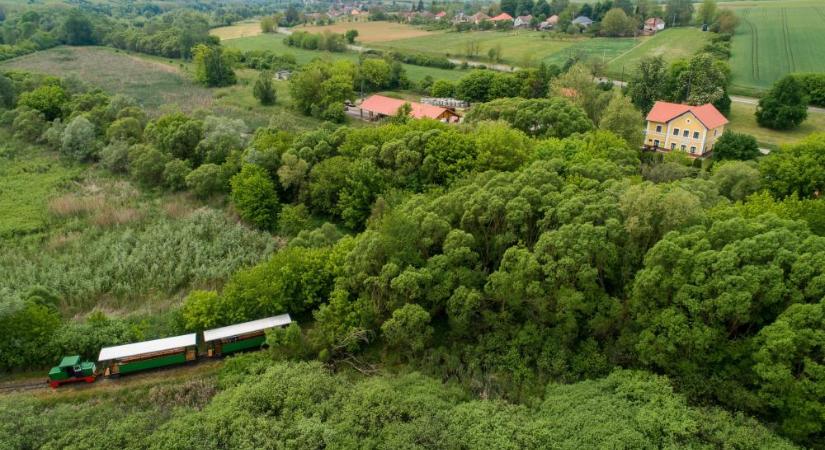 Szerdától ismét jár a Zselici csühögő erdei kisvasút