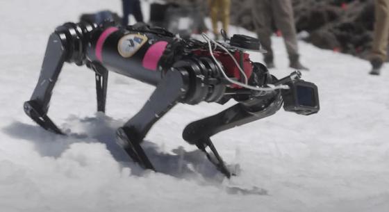 Felvittek egy gleccser tetejére egy robotkutyát, így képezik ki – videó