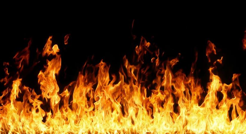 Kigyulladt az aljnövényzet Ceglédnél, a tűzoltók küszködnek az oltással a szél miatt
