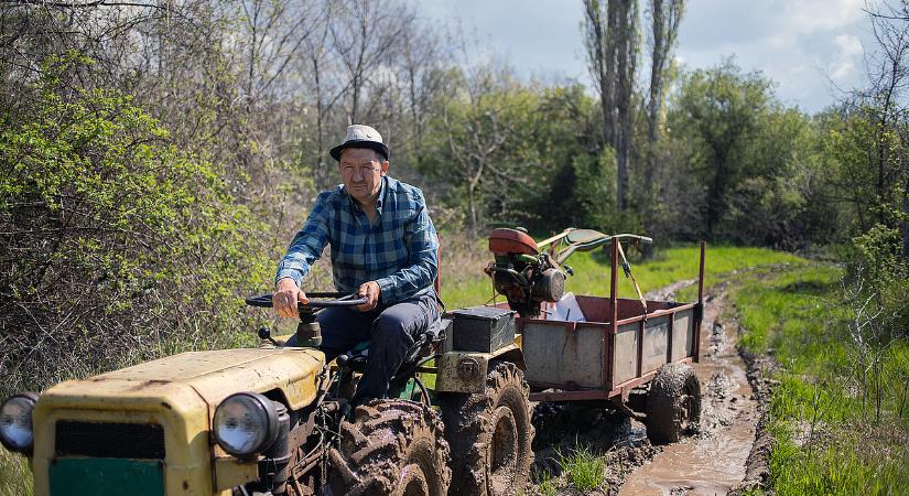 Idős férfiak irányítják a magyar agráriumot