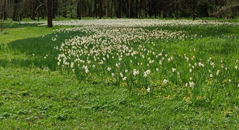 Hazánk kincsei VI. rész – Az Alcsúti Arborétum