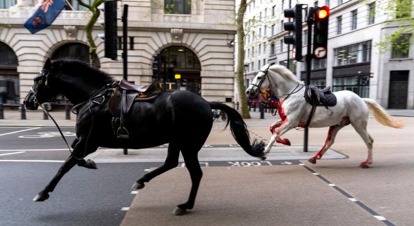Vérrel borított lovak vágtáztak London utcáin