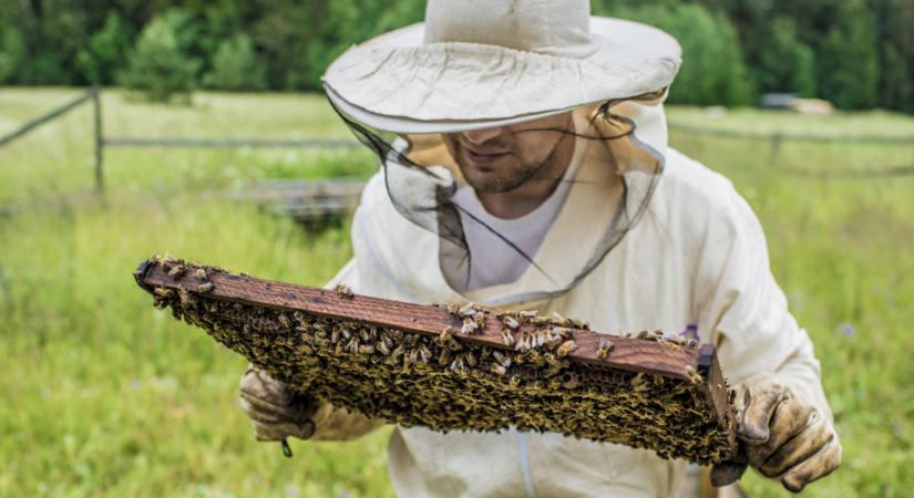 Aggódik a miniszter a magyar agrárium egyik legfontosabb ágazatáért