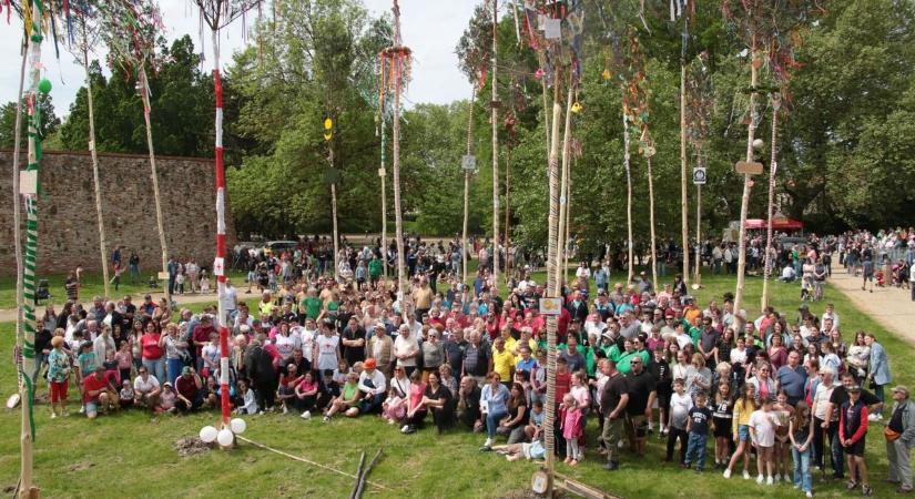 Hagyomány: felállították a sárvári májusfaligetet a Nádasdy-vár parkjában - fotók