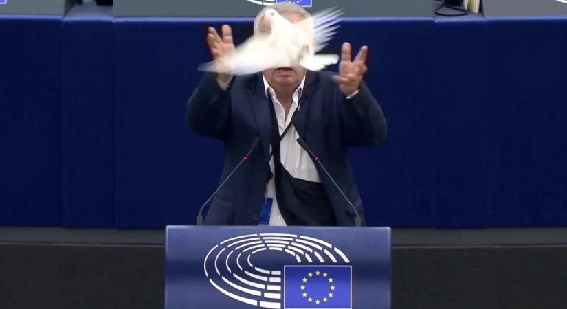 Galambot röptetett egy szlovák képviselő az Európai Parlamentben