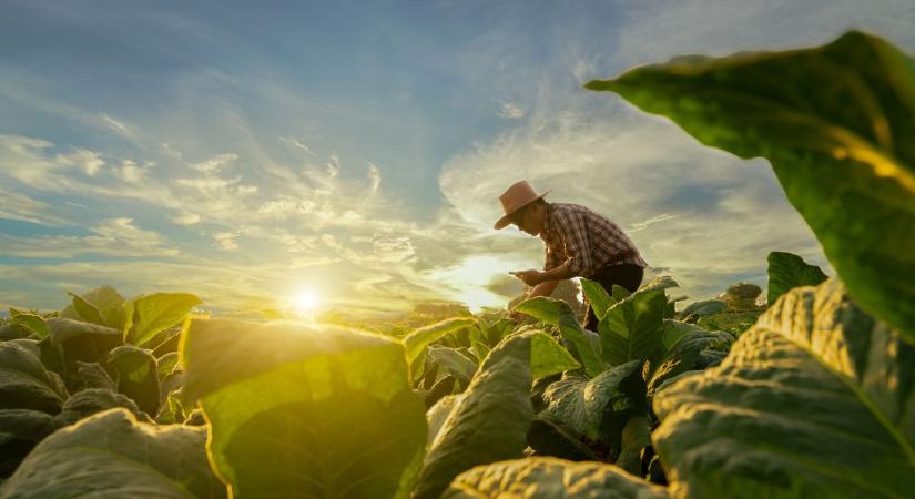 Nagy István: Az agrárium kihívásai napjainkban