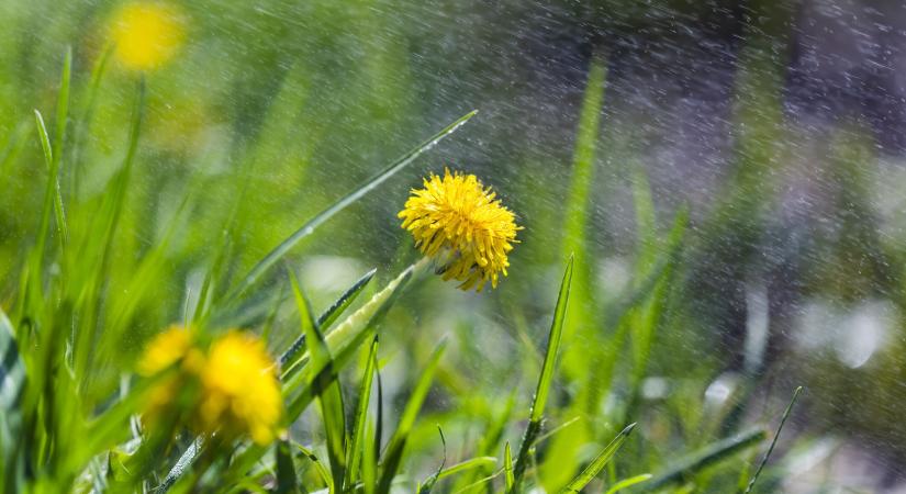Orvosmeteo: kiadós eső válthatja a napsütést