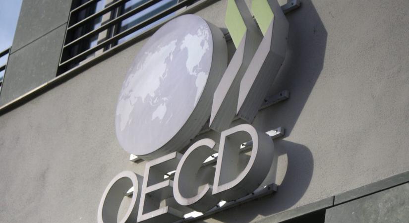 Pozitívan látja a világot az OECD