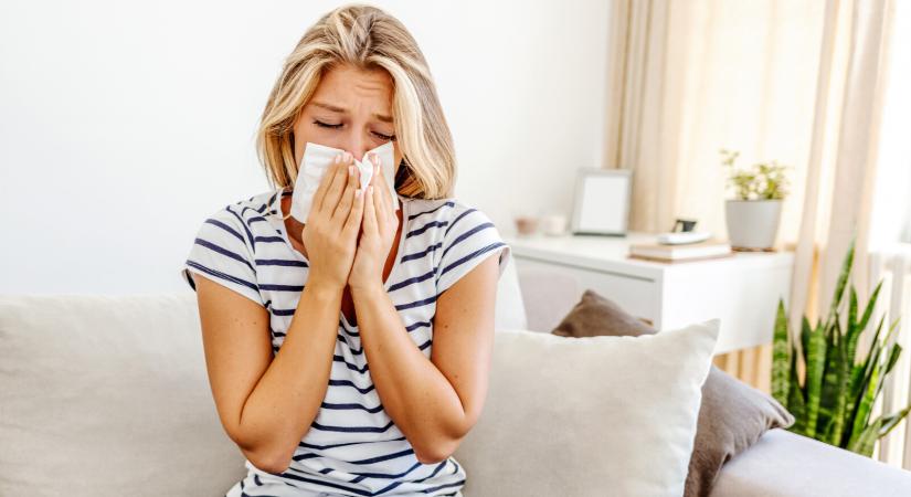 Ez a vizsgálat több millió allergiásnak megváltás lehet