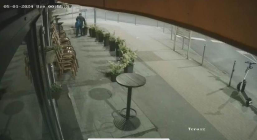 Szombathelyi vendéglátóhely teraszáról lopott virágot egy nő, felvette a kamera - fotók