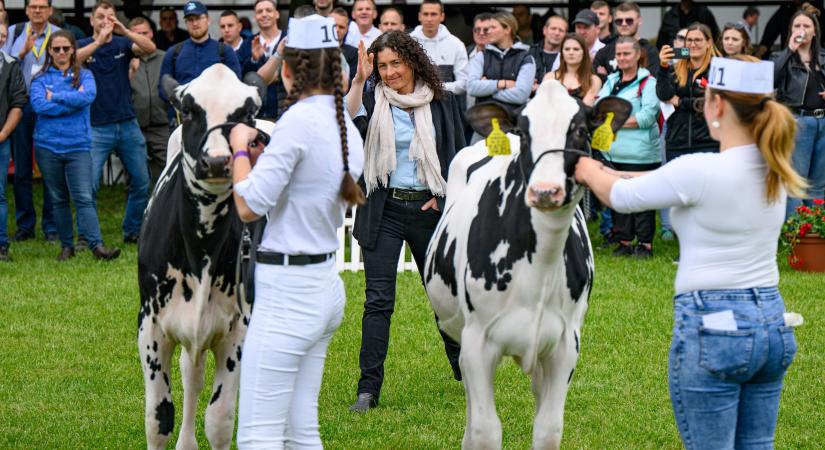 Meglepetéssel zárult a Holstein-fríz bírálat