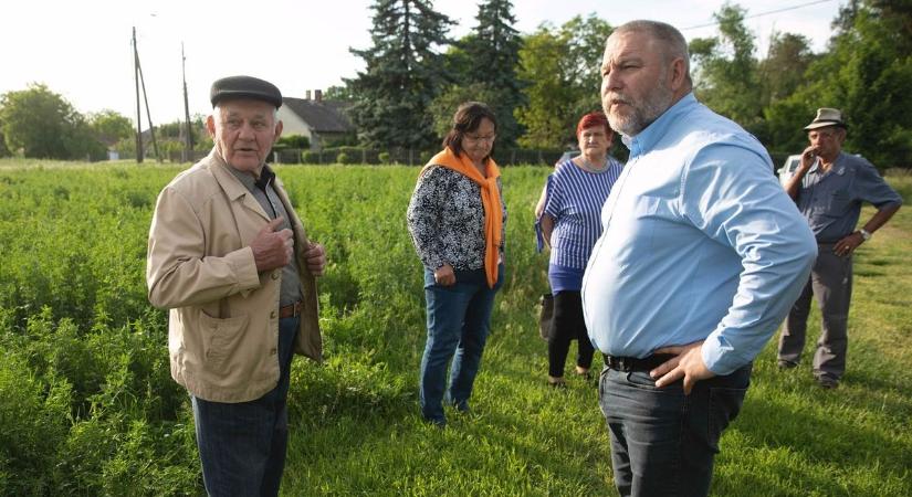 Hatósági vizsgálatok folynak a tedeji agrárcégnél