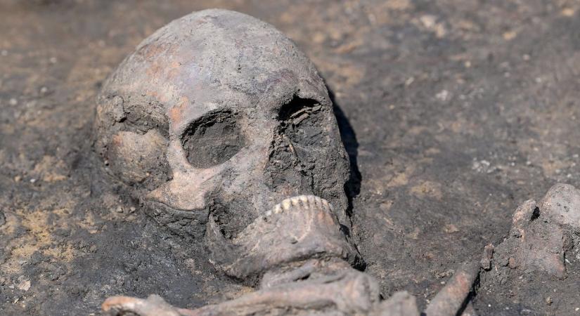Rejtélyes csontvázak kerültek elő Hitler egyik főhadiszállásából, a Farkasveremből