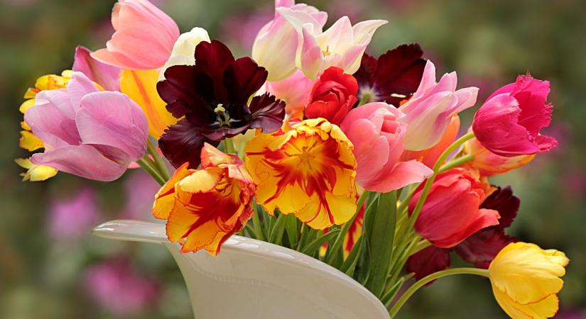 Nyolc ötlet, hogy a vágott virág sokáig szép maradjon